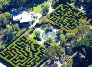 世界八大最難植物迷宮，能走出來的都是天才! (12)