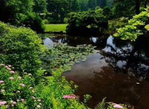 植物沒有魅力? (38)