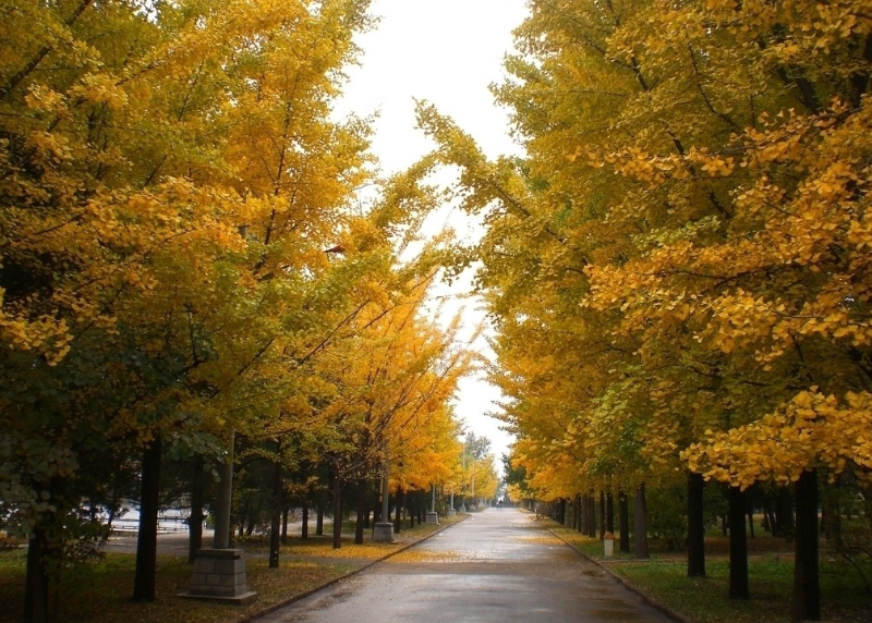 QQ截圖20151105162644