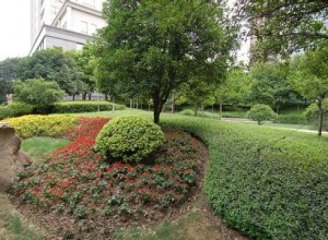 園林綠化植物養(yǎng)護(hù)管理方案匯總 (3)