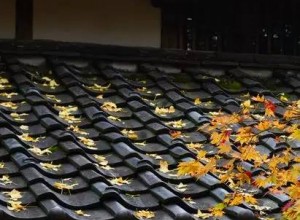 瓦片上的創(chuàng)意，真的很美！??！ (24)