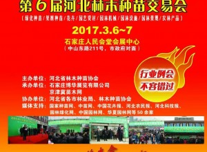 2017新春第一個苗木會  華北苗木市場風向標
