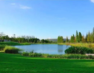 東方園林:水體治理“三位一體”技術樹行業(yè)標桿