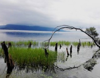 生態文明理念應納入政績考核