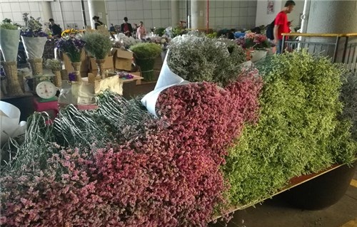 ace58ec5-1e87-470e-bff7-f05190b7bac4