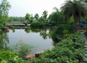 淺析園林水景設計與施工難點分析