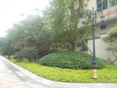 城市居住小區(qū)綠化探討