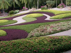 淺談地被植物在城市園林綠化中的應(yīng)用
