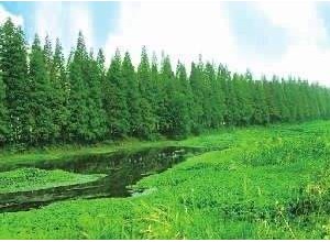 綠滿三湘——湖南如何推進城鄉生態協調發展