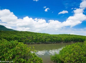三亞市春光路紅樹林生態公園設計施工招標公告