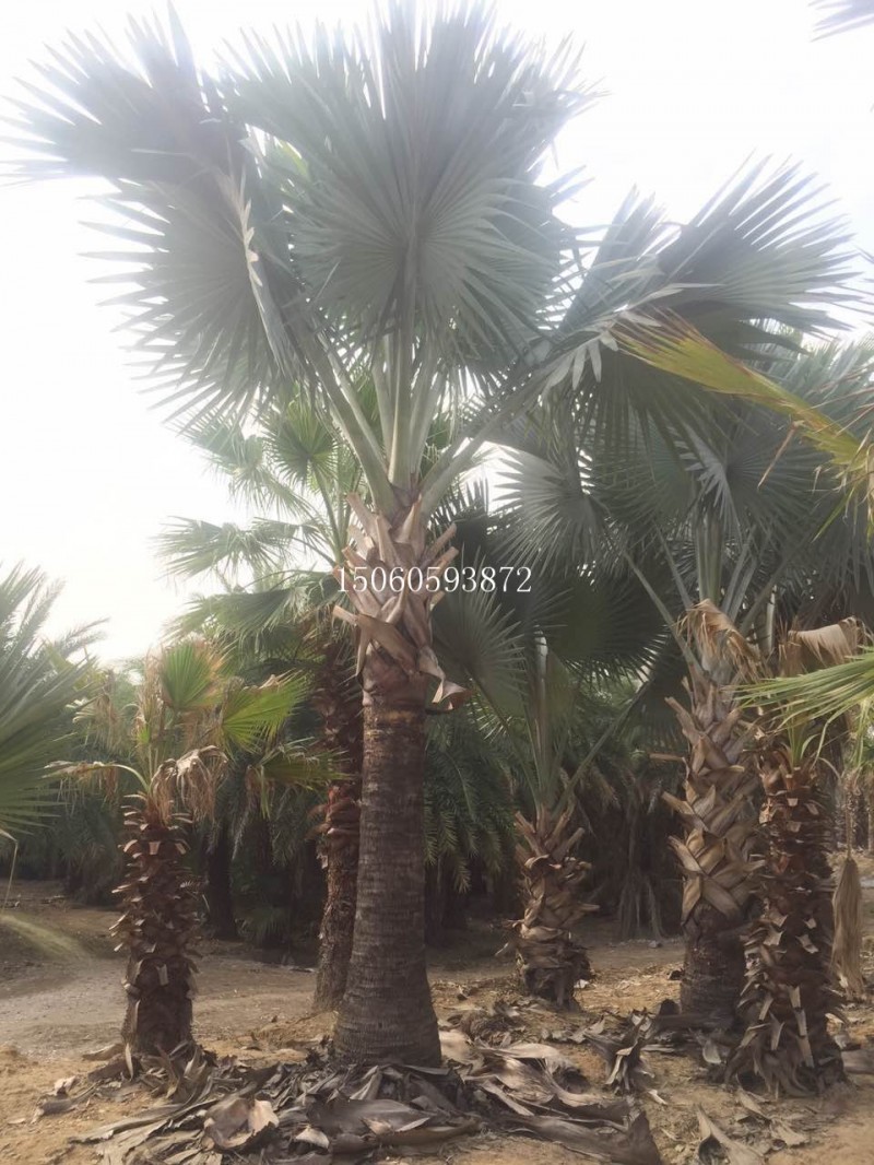 微信圖片_20171118102258