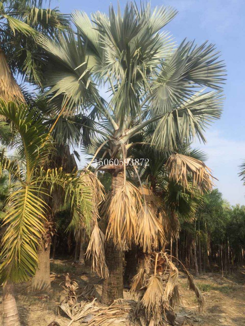 微信圖片_20171118102256