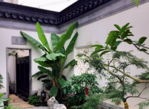 中式園林 · 植物造景 (16)