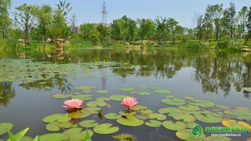 安慶康熙河項目 5