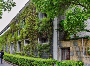 這樣做屋子里面會涼快很多吧 (31)