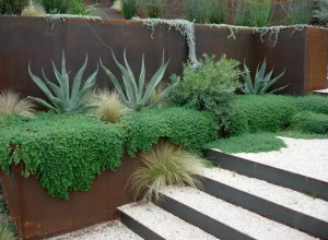 當綠植遇見耐候鋼板 (35)