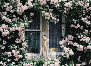 推開一扇窗，輕嗅花香 (21)