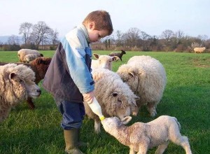 許孩子一場田園之旅 (27)