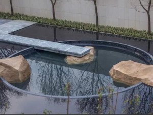 一腔赤誠只為守護，置石 (30)