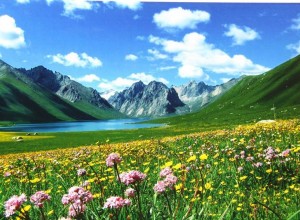 中國國家公園體系建設持續推進