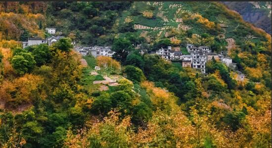 QQ截圖20181126091605