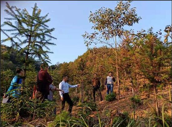 QQ截圖20181126091622