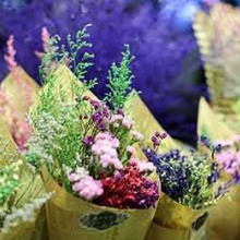 2018寧波五金工具展_園藝工具展