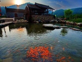 龍泉寶溪：砍樹變看樹 葉子變票子