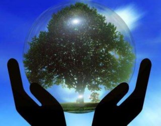 冷水江市林業(yè)局“12.4全國(guó)法制宣傳日”開展林業(yè)政策法規(guī)宣傳