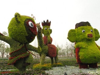 世園會(huì)試驗(yàn)引種球根花卉