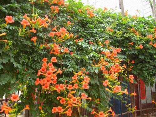 u=2717654275,3515583342&fm=26&gp=0