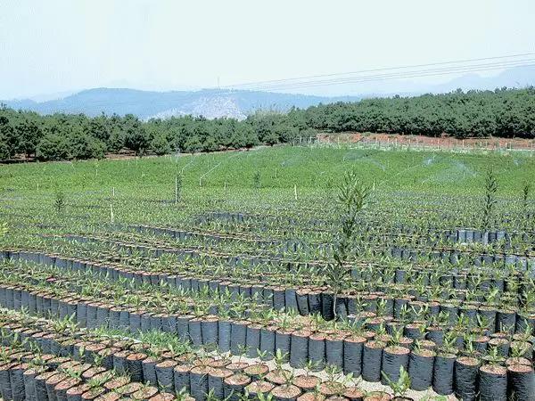 微信圖片_20191224150212