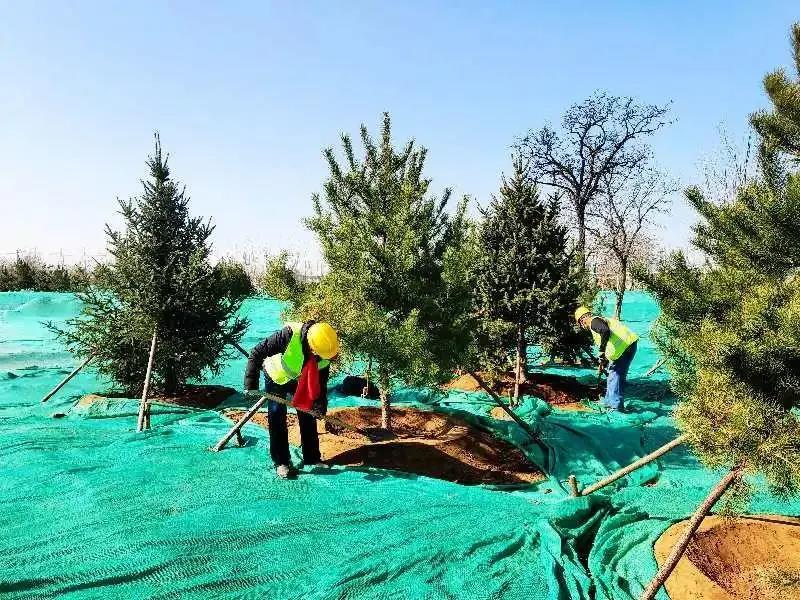 微信圖片_20200316092321