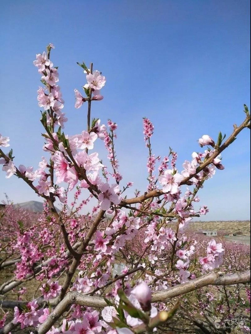 timg (2非官方個).jpg