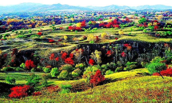 微信圖片_20200619083949